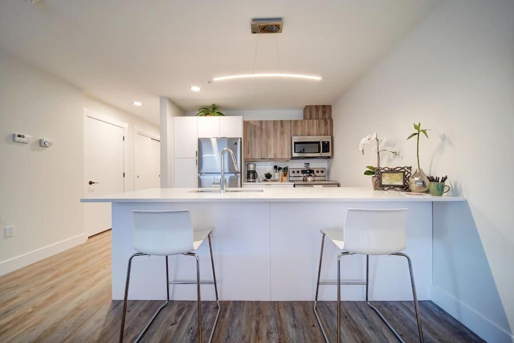 NEW New Luxurious Modern 2BR Condo Sleeps 5 Coffee, AC, WIFI Halifax Exterior foto
