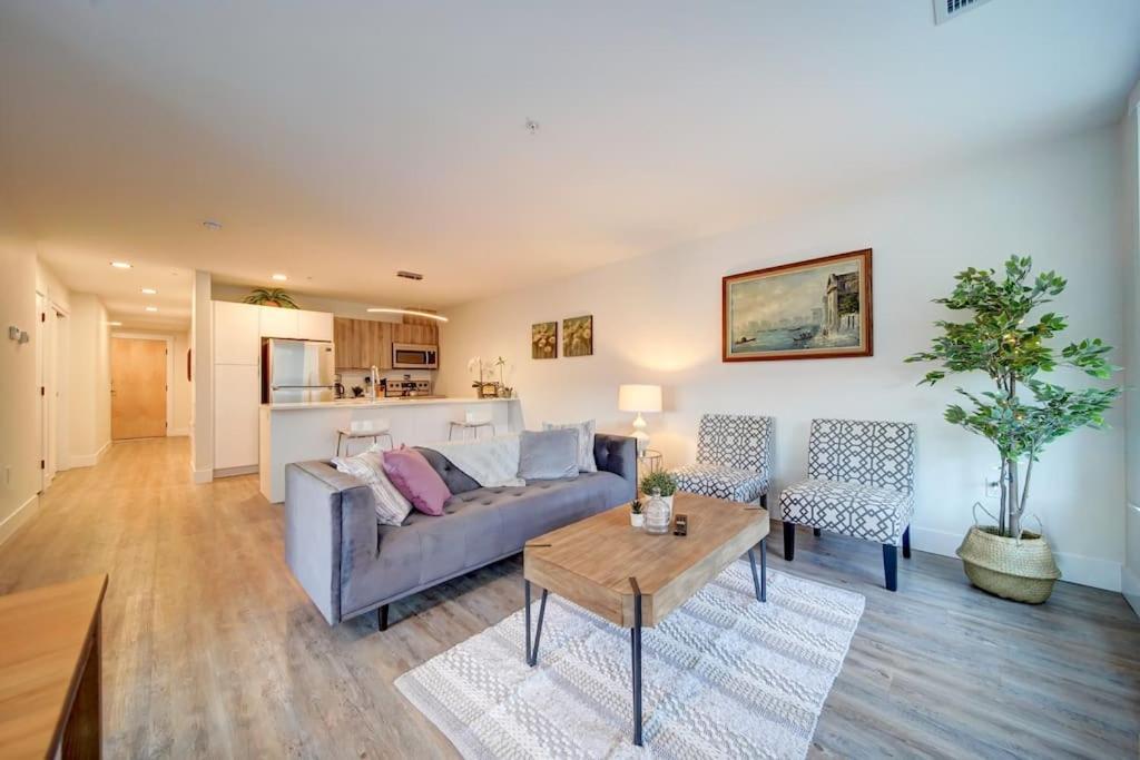 NEW New Luxurious Modern 2BR Condo Sleeps 5 Coffee, AC, WIFI Halifax Exterior foto